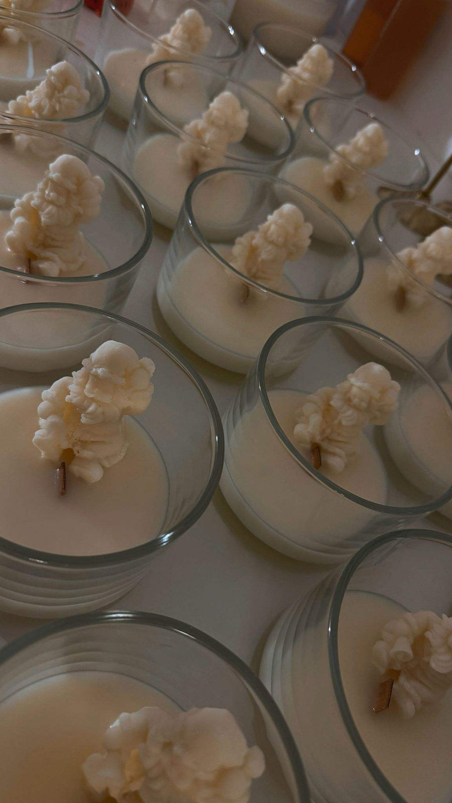 Small glass dishes with white substance and small plant-like figures on a white surface