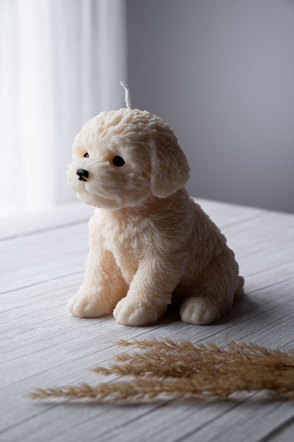 Aesthetic Room Decor Candle – Pet Lover Gift
