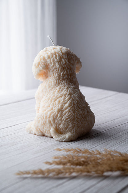 Allure Canada Dog Candle – Organic Soy Wax
